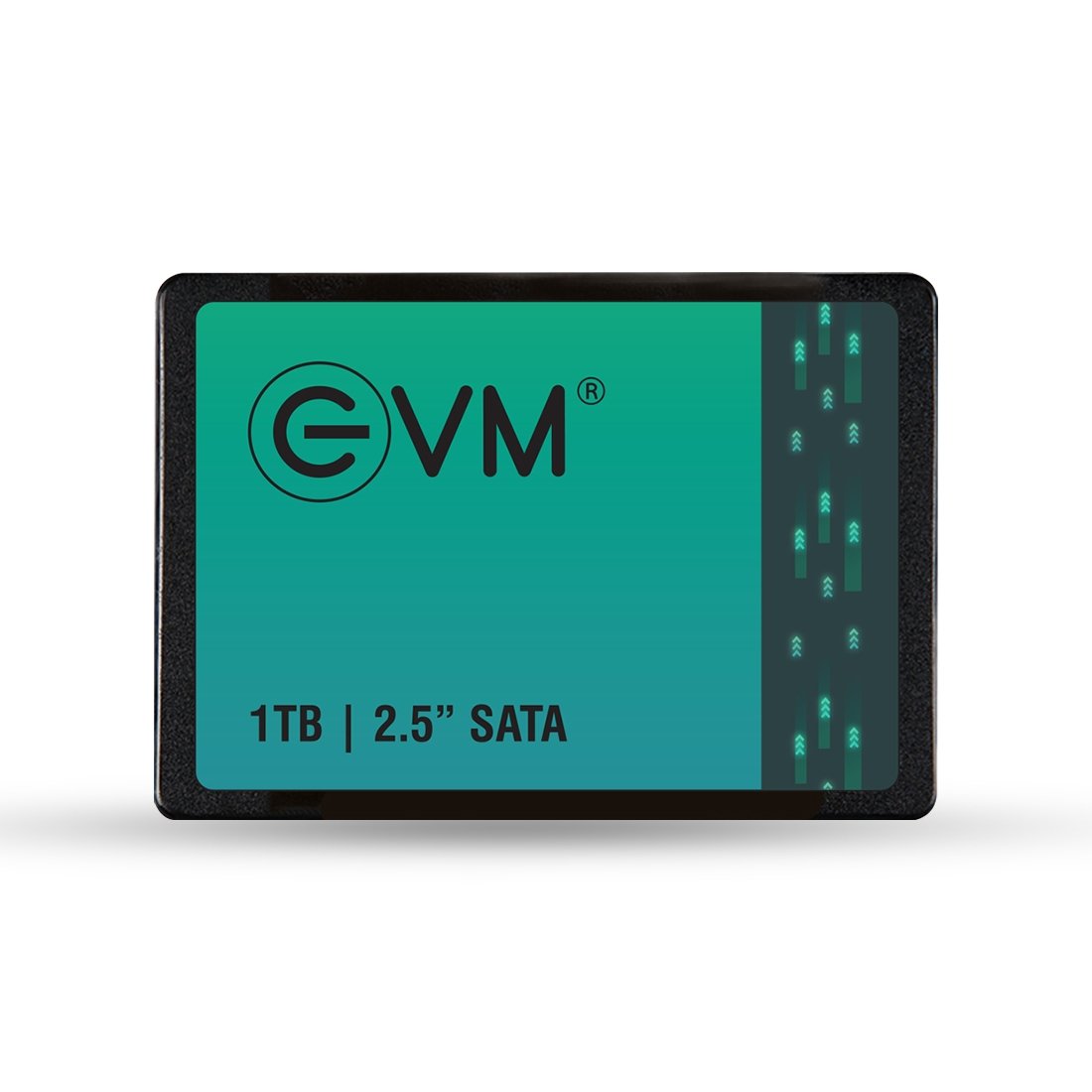 Harddisk EVM EVM25/1TB 2.5 Inch SATA 3.0 Internal SSD | Read 550MB/s & Write Speed 500MB/s