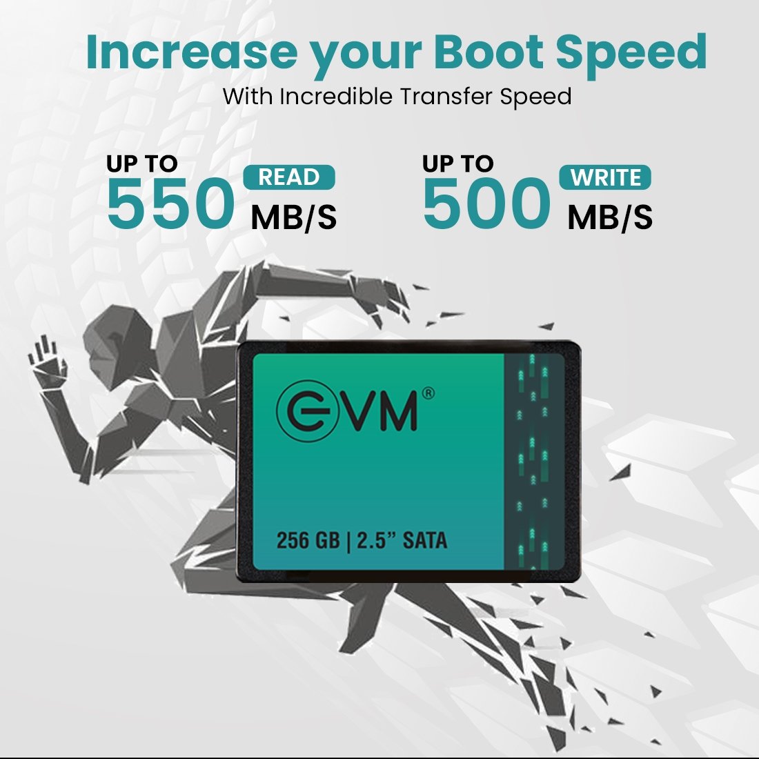 Harddisk EVM EVM25/256GB 2.5 Inch SATA 3.0 Internal SSD | Read 550MB/s & Write Speed 500MB/s