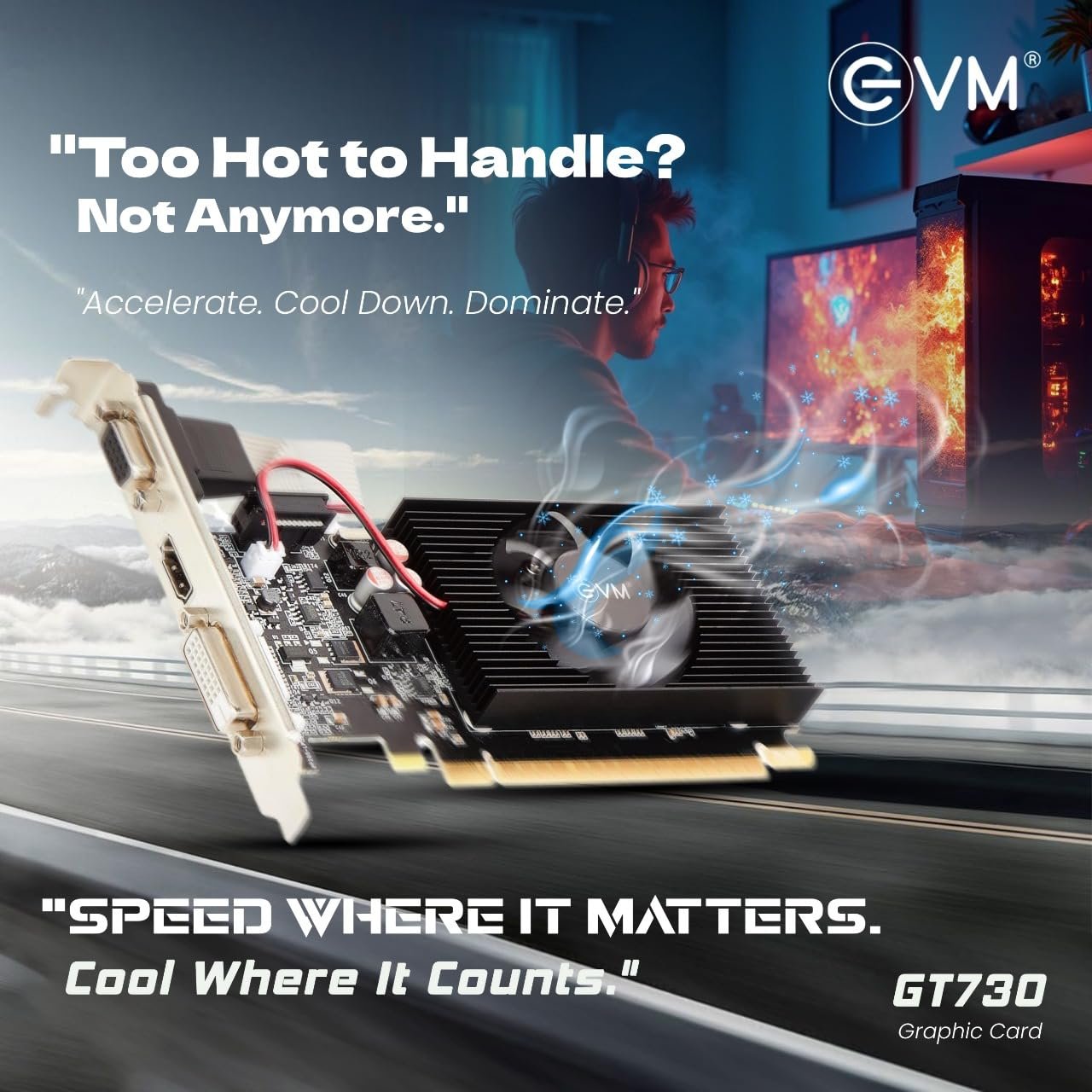 Graphics Card EVM GT730 | High Efficiency, Support PCIe 2.0, DDR3 4GB, VGA HDMI & DVI Port, Heat Sink With Fan, Optimised Heat Dispensation, Black