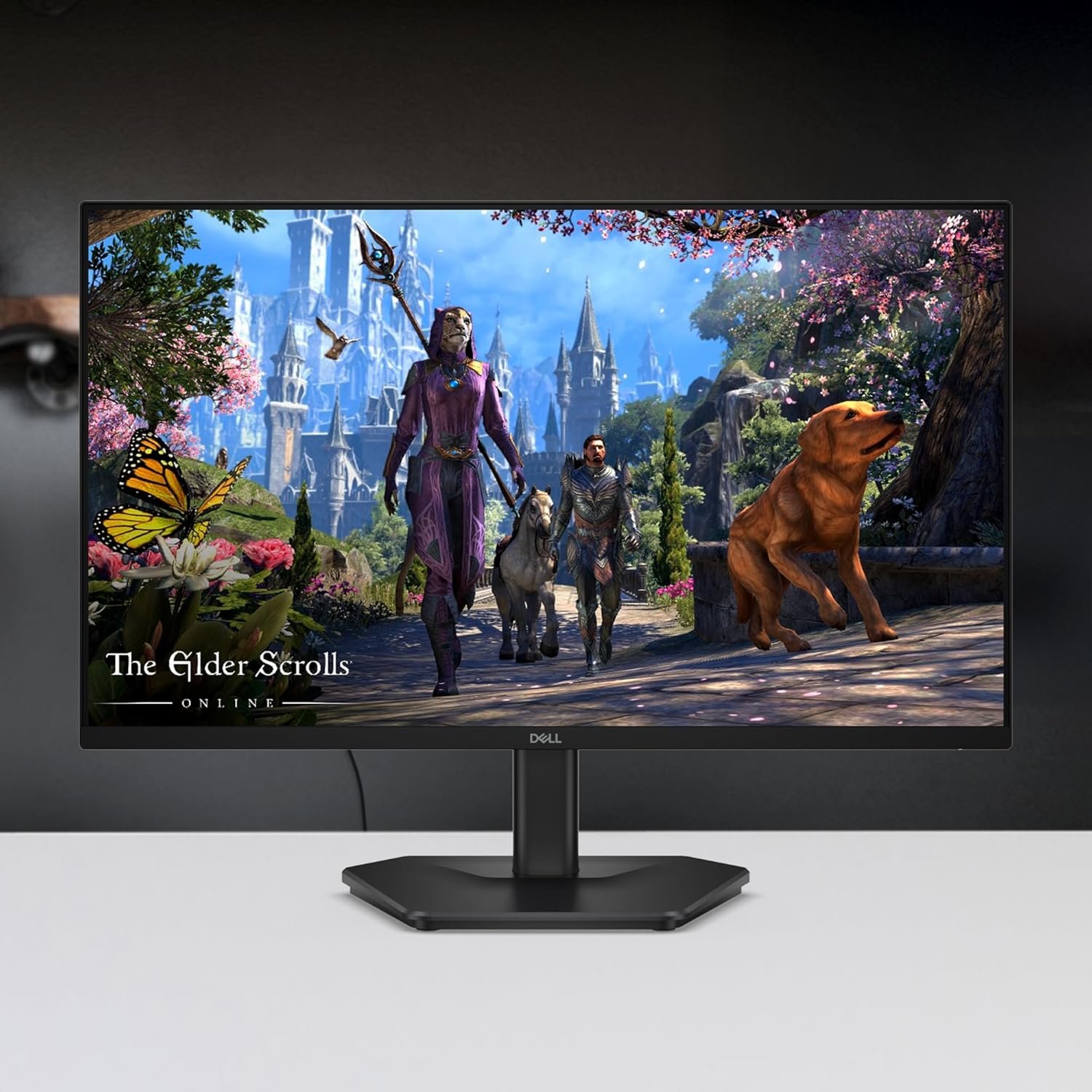 Monitor Dell 27" SE2725HG | FHD (1920x1080) IPS, 200Hz, 1ms GtG, AMD FreeSync Premium, HDR10, 300 nits, 99% sRGB, 2x HDMI, DisplayPort 1.4, 3-side slim bezels, Tilt | Black