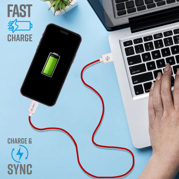 Cable Zebronics ZEB-UT65 1M | USB to Type C charging cable, 65W max, 6.5A, Multi protocol, Rapid charge support, Data transfer, 15000+ bends tested, Red
