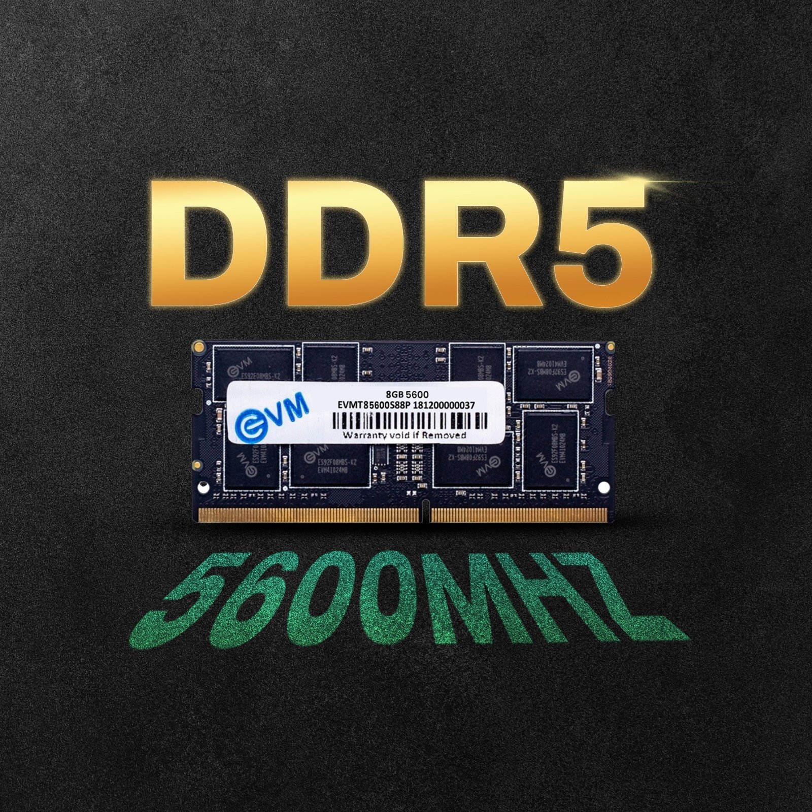 EVM 8GB DDR5 5600MHz EVMT8G5600S88P Laptop RAM | High-Speed SODIMM Memory For Laptops & Notebooks